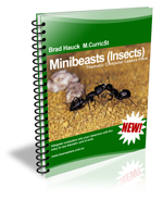 insect lesson plans